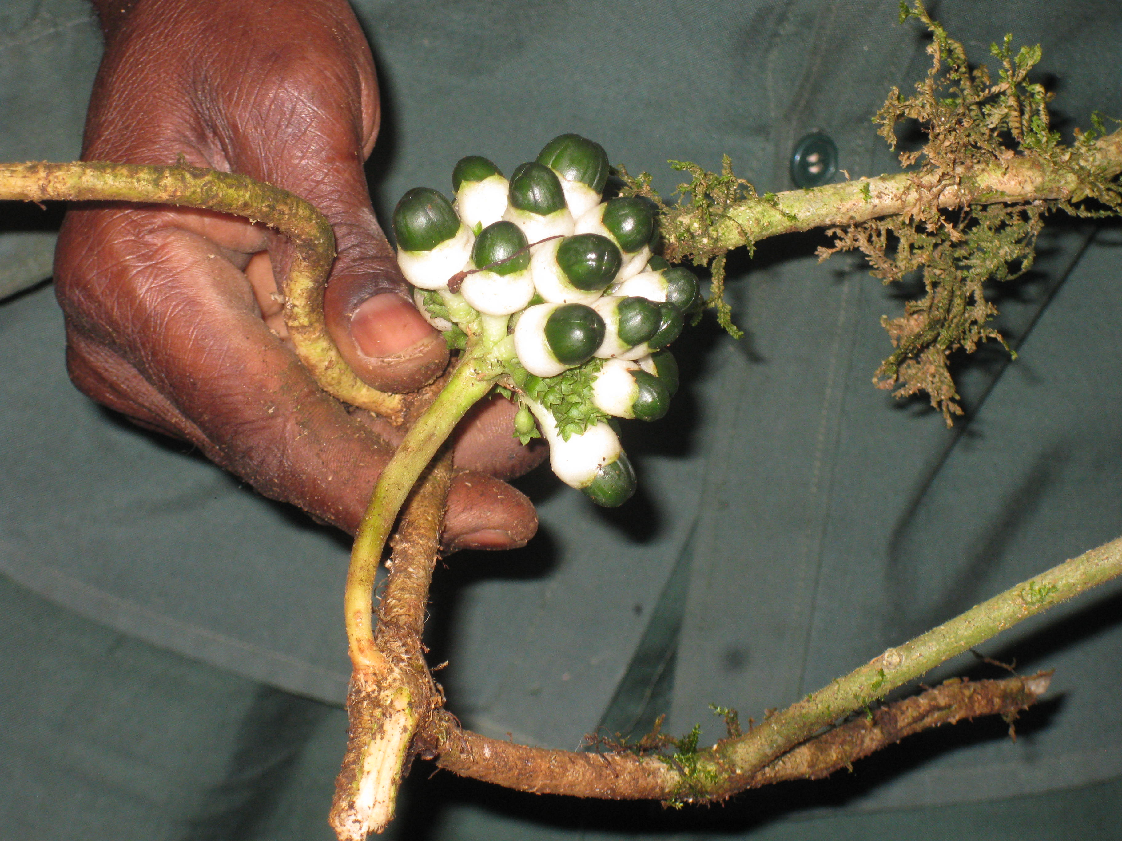 Science driven field work image 8